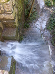FZ001465 Overflowing steps and style.jpg